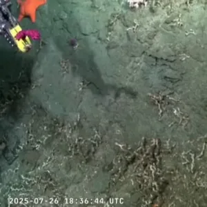 Technology news image