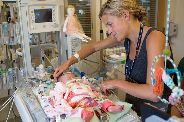 Dying Organs Restored to Life in Novel Experiments - The New York ...