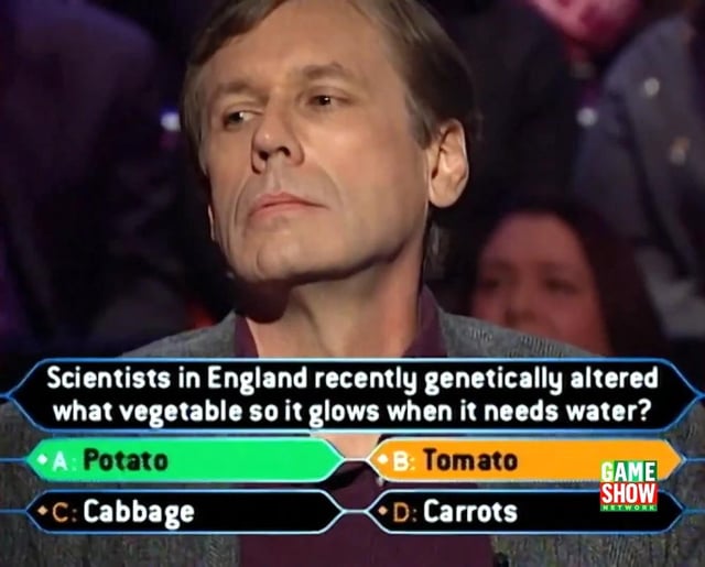 Ed Toutant lost at the $16,000 question on 'Who Wants to Be a ...