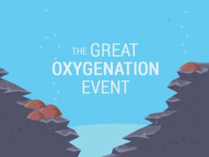 Great Oxygenation Event: How Oxygen Filled the Atmosphere - Earth How