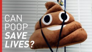 How a Fecal Transplant Saved a Woman's Life | Freethink On The ...