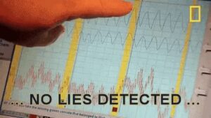 Lied No Lies Detected GIF - Lied No Lies Detected Lie Detector ...