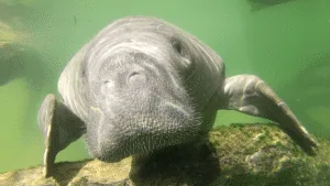 Technology news image