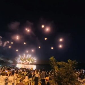 The "7-Second Miracle" in Japan's fireworks festival! : r ...