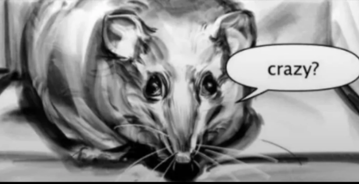 10 Mageblood Giveaway : r/pathofexile