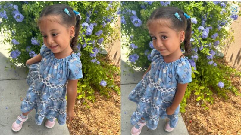 3-year-old girl dies after mom allegedly locked both of them in ...