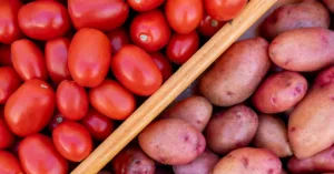 Technology news image