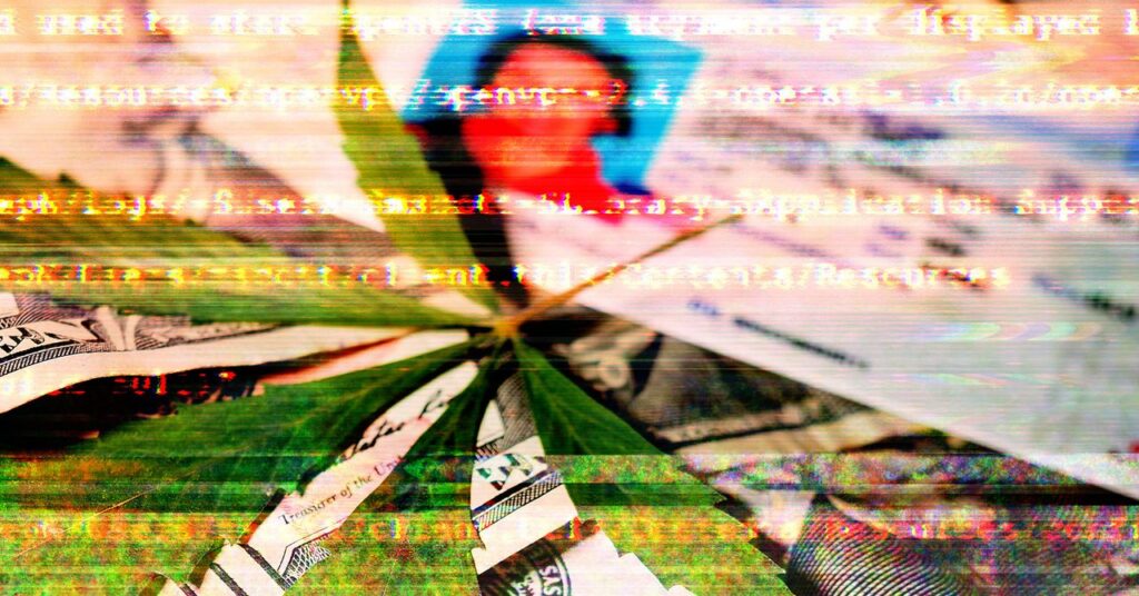 Security_weedcard_GettyImages-1466383594