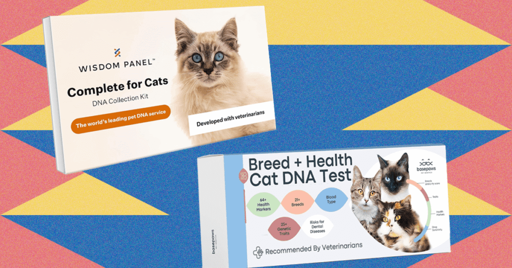 The20Best20At-Home20Pet20DNA20Test20Kits20Tested20on20My20Cats