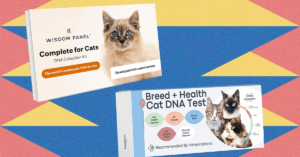 The20Best20At-Home20Pet20DNA20Test20Kits20Tested20on20My20Cats