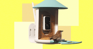 The20Best20Smart20Bird20Feeders20for20Backyard20Birding