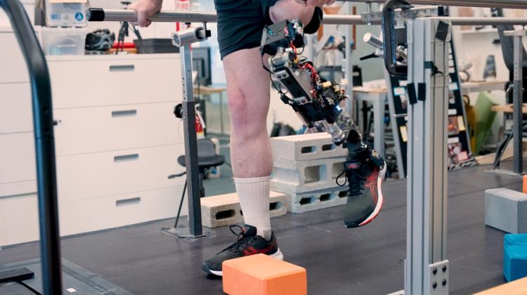 A bionic knee integrated into tissue can restore natural movement ...