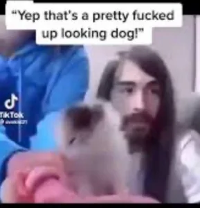 Technology news image