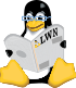 barepenguin-70