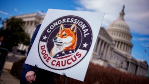 Department Of Government Efficiency Caucus Holds News Conference For "DOGE Day"