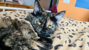 Technology news image