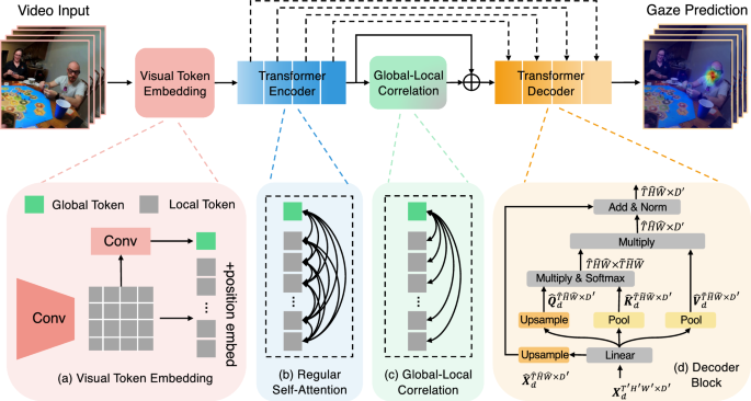 In the Eye of Transformer: Global–Local Correlation for Egocentric ...
