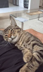 Technology news image