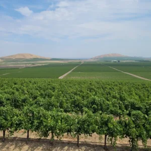 Technology news image