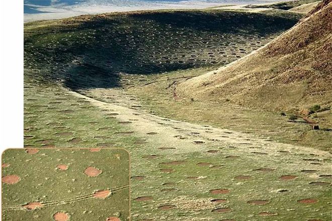 Mysterious Fairy Circles Are 'Alive' | WIRED
