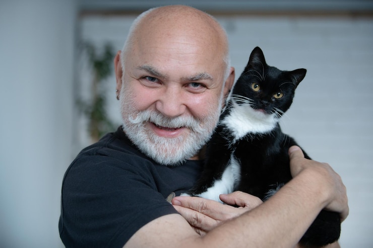 Page 3 | Cat Daddy Photos - Download Free High-Quality Pictures ...