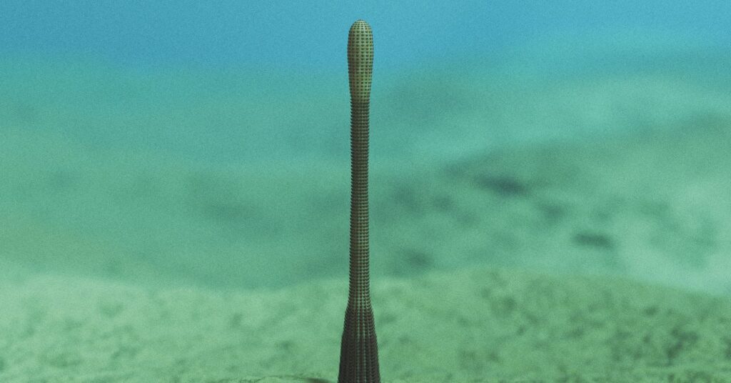 penisworm