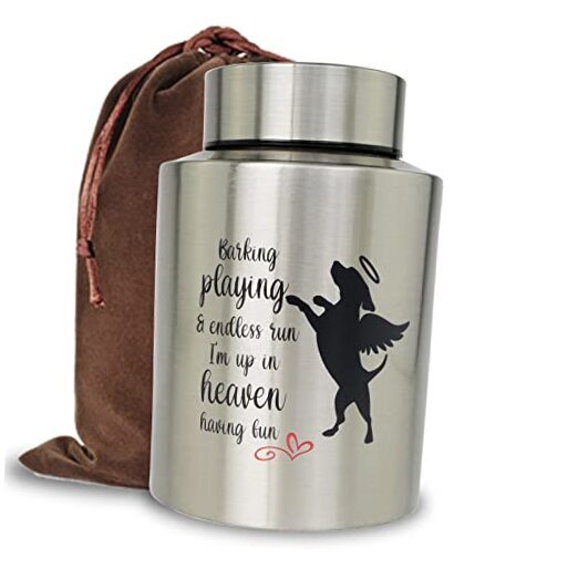 Pet Cremation Urns for Dogs Ashes, Up to 60 lbs Medium Silver ...