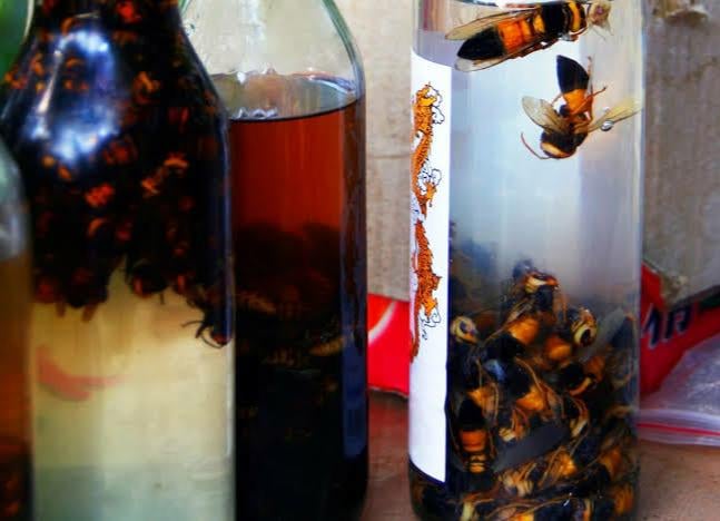 Removal of hornet den : r/interestingasfuck