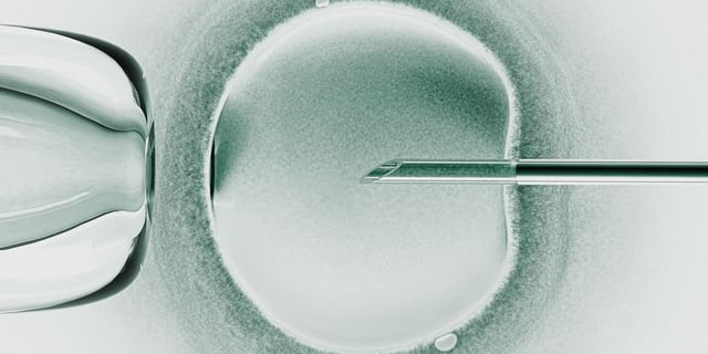 Researchers announce babies born from a trial of three-person IVF ...