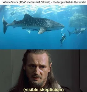 Technology news image