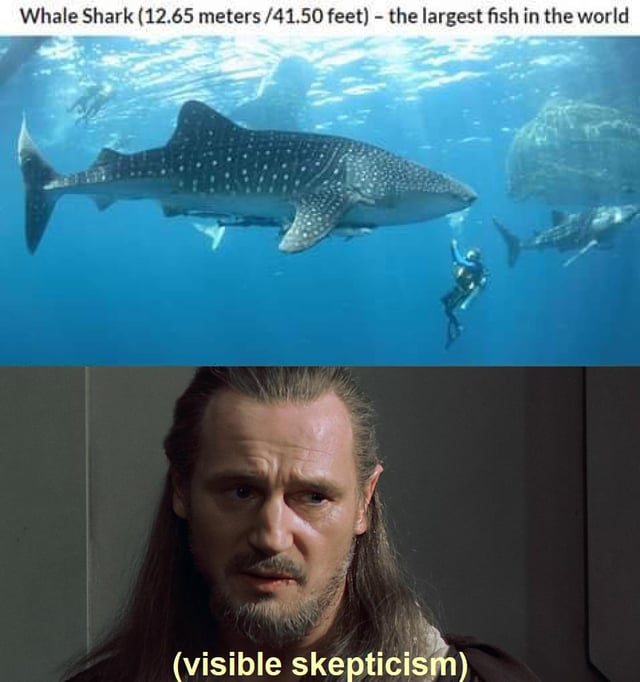 There's always a bigger fish. : r/starwarsmemes