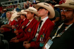 Technology news image