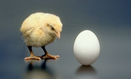 What came first, the chicken or the egg? The definitive answer ...