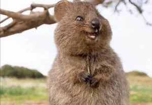 Technology news image