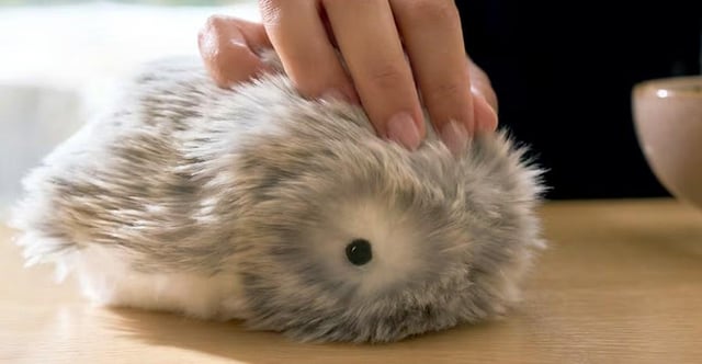 Casio's stress-relieving furry robot is coming to the US : r ...