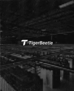 Why TigerBeetle is the most interesting database in the world