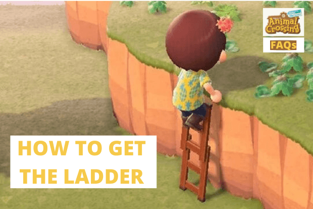 How to get a ladder in Animal Crossing: New Horizons | Radio Times