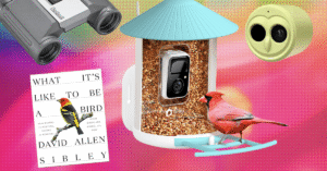 The201920Best20Gifts20for20Bird20Lovers