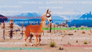 Bullet Chatting Use Cases