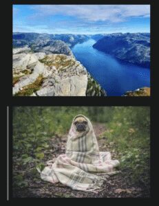 How can one display images side by side in a GitHub README.md ...