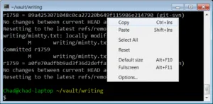 Terminal Latency on Windows