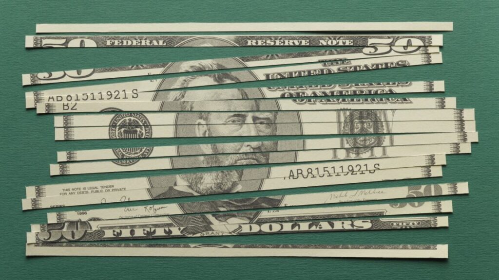 Shredded US currency banknote, close-up