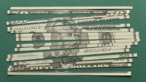 Shredded US currency banknote, close-up