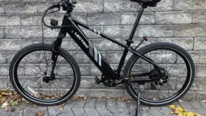 Lectric XPress 750:  A full-sized bike for the budget-minded