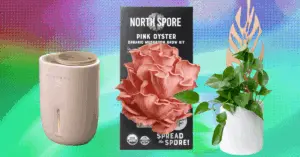 The 17 Best Gifts for Plant Lovers We’d Buy Ourselves (2025)