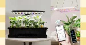 The Best Plant and Gardening Gifts From LetPot (2025)