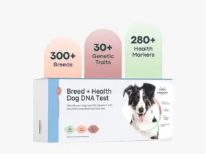 Basepaws Pet Test Kits Are Half Off Right Now (2025)