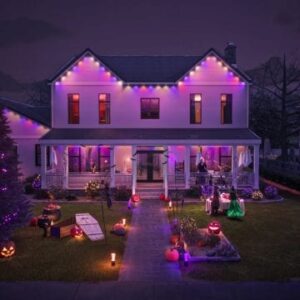 Festavia permanent outdoor lights 90 ft black string | Philips Hue