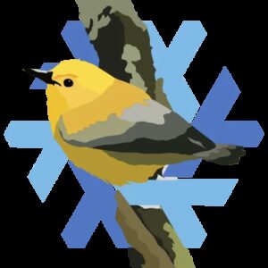 NixOS 25.05 released | Blog | Nix & NixOS