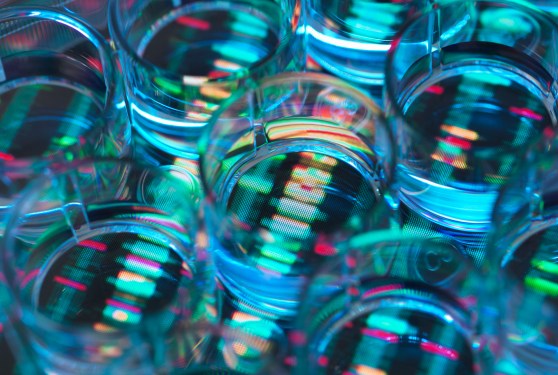 OpenAI-backed biotech firm Chai Discovery raises $130M Series B at ...